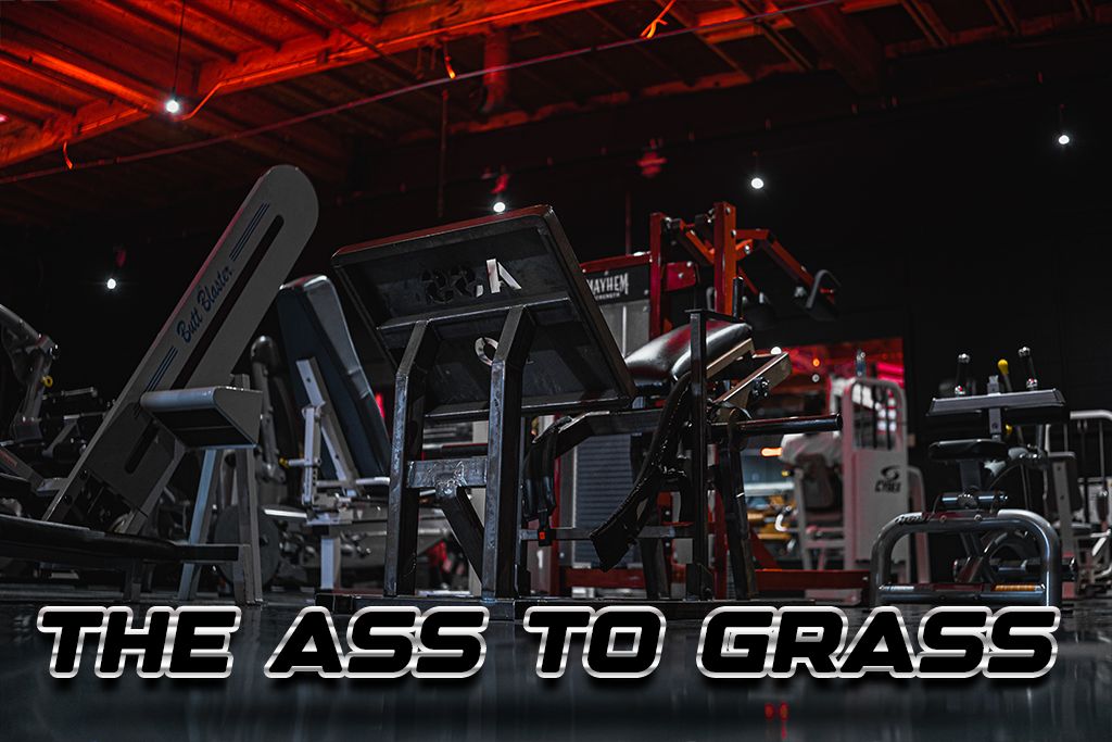 The Ass to Grass machine under the ceiling lights